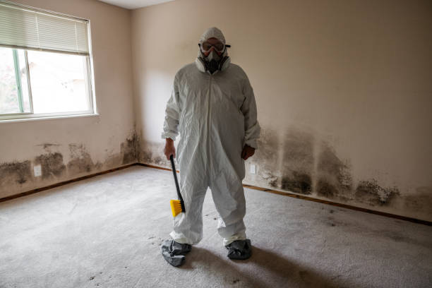 Best Industrial Mold Remediation  in USA